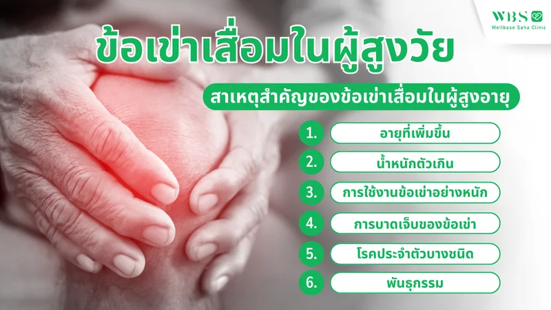 ข้อเข่าเสื่อมในผู้สูงวัย